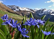 CA' - PASSO SAN MARCO - MONTU' in risveglio primaverile (3magg21) - FOTOGALLERY"